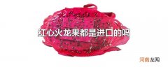 红心火龙果都是进口的吗