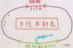 排卵期怎么算 排卵期怎么算才最准确 5种方法计算排卵期