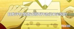 自我评价是通过哪两种途径来实现的