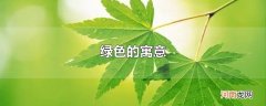绿色的寓意