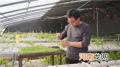 扶持返乡创业 返乡创业带动致富