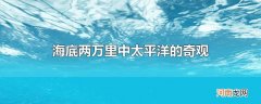 海底两万里中太平洋的奇观
