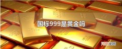 国标999是黄金吗
