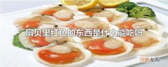 扇贝里红色的东西是什么能吃吗