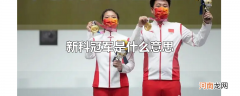 新科冠军是什么意思