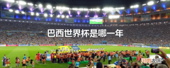巴西世界杯是哪一年