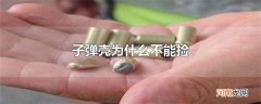 子弹壳为什么不能捡