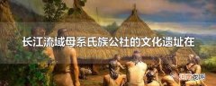 长江流域母系氏族公社的文化遗址在