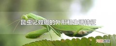 昆虫记螳螂的外形和生活特征