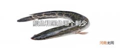 鮰鱼和黑鱼哪个刺少