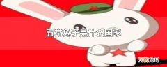 五常兔子是什么国家