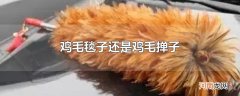 鸡毛毯子还是鸡毛掸子