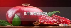 8月份有石榴吗