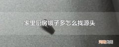 家里厨房蛾子多怎么找源头