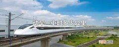 动车一小时多少公里