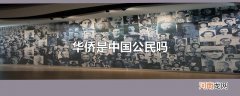 华侨是中国公民吗