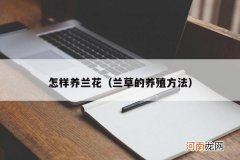 兰草的养殖方法 怎样养兰花