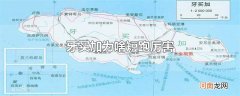 牙买加为啥短跑厉害