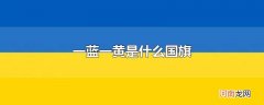 一蓝一黄是什么国旗