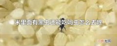 米里面有黑虫还能吃吗虫怎么去除