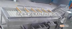蔬菜水果清洗机有作用吗