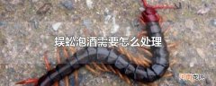 蜈蚣泡酒需要怎么处理