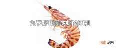 九节虾和黑虎虾的区别