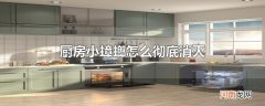 厨房小蟑螂怎么彻底消灭