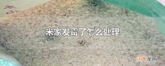 米家发霉了怎么处理