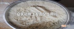 夏天能晚上发面早上用吗
