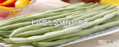 十八豆怎么储存到冬天