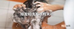 掉发和洗发水有关吗