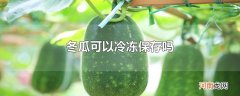 冬瓜可以冷冻保存吗
