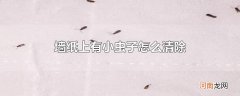 墙纸上有小虫子怎么清除