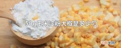 50g玉米淀粉大概是多少勺