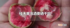 桂木果泡酒要晒干吗