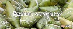 自己包的粽子冷冻保质期多久