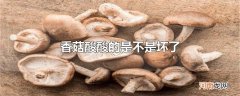 香菇酸酸的是不是坏了
