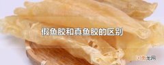 假鱼胶和真鱼胶的区别
