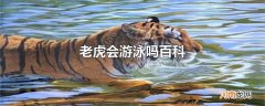 老虎会游泳吗百科