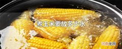 煮玉米要放多少水