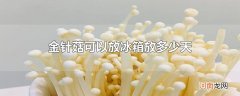 金针菇可以放冰箱放多少天
