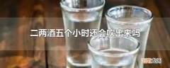 二两酒五个小时还会吹出来吗