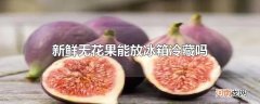 新鲜无花果能放冰箱冷藏吗