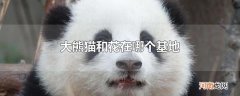 大熊猫和花在哪个基地