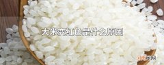 大米变红色是什么原因