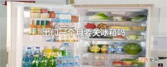 出门一个月要关冰箱吗