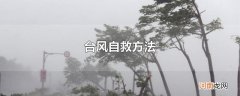 台风自救方法