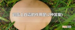 2种答案 鸡蛋上白霜的作用是