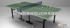 3×5米的房间可以打乒乓球吗